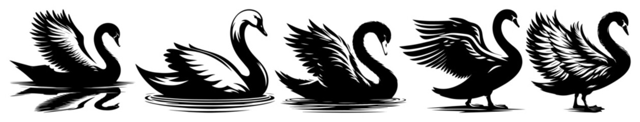 graceful swans set silhouette laser cutting black vector