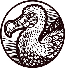 Obraz premium Hand drawn dodo bird in vintage circular frame detailed engraving illustration of extinct bird in profile view