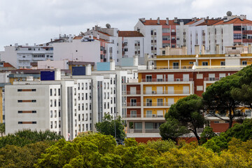 Residential buildings rising above green trees in an urban landscape