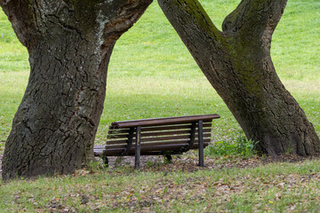 Empty Bench Between Two Cork