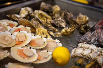 Various Shell fish on Ice