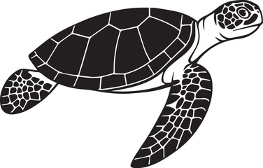turtle vector illustration