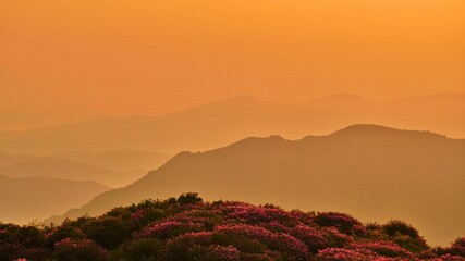 Beautiful mountain ridge and sunrise scenery in Korea