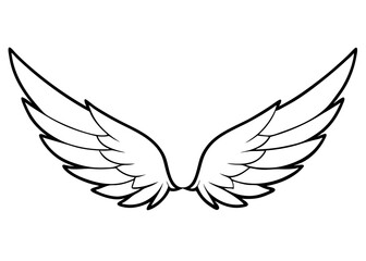 Wings on black background hand drawing vector illustration