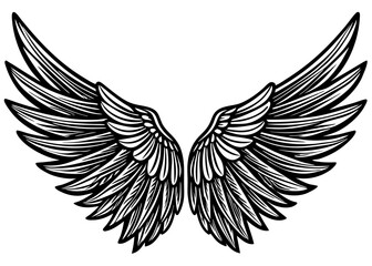 Obraz premium Silhouette Elegant angel wings vector illustration 