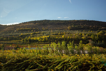 An Italian Countryside