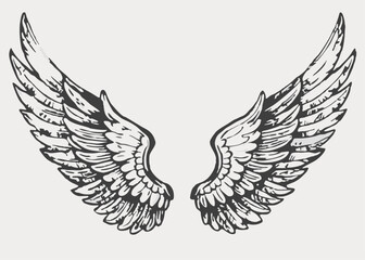 Wings white background vintage style Minimalist concept vector illustration hand draw design