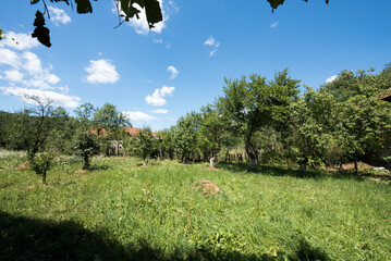 Fototapete bei efototapeten.de bestellen   