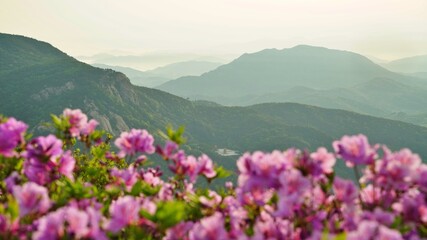 Beautiful mountain ridge and sunrise scenery in Korea