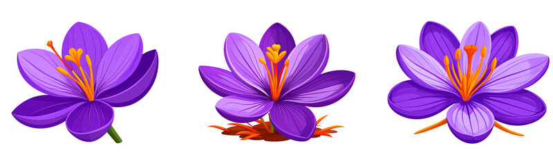 Stylized Saffron Flower Illustration with Bold Colors and Simplified Shapes Transparent Background PNG