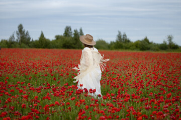 Young woman in a white dress and hat walks among summer poppies