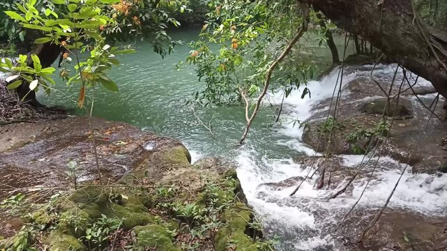 flowing water stream creek cascade waterfall in tropical forest