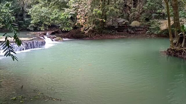 flowing water stream creek cascade waterfall in tropical forest