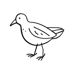 Bird doodle line vector illustration, hand drawn animal sketch, minimalist flying nature art design


