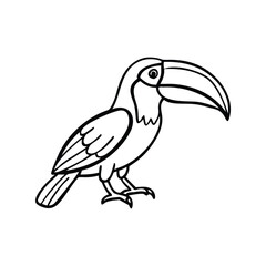Obraz premium Toucan doodle line vector illustration, hand drawn tropical bird sketch, playful animal art design