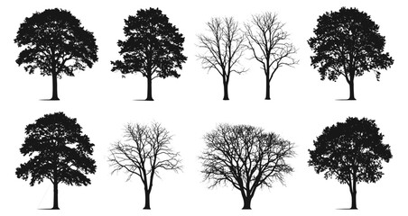 Vector Tree Silhouettes &ndash; 8 Realistic Tree Shapes Including Leafy and Bare Designs for Nature, Seasonal, and Forest Projects
