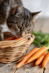 Curious cat sniffs fresh carrots from woven basket, surrounded by greenery, creating charming and playful scene