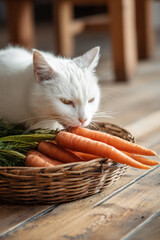 Cat enjoys fresh carrots from wooden basket, creating charming and playful scene. warm wooden floor adds to cozy atmosphere