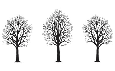 Obraz premium Detailed Leafless Branches Creating Stark and Elegant Outlines, Ideal for Seasonal or Abstract Designs