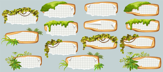 Wooden signboards with old paper, stems ivy, liana, grapes, vine, swamp moss, forest lichen. Set isolated wooden elements with blank, with ragged square graph paper, school math sheet. 