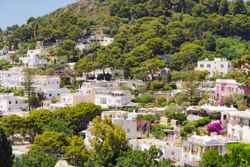 Capri Island, Italy landscape with vibrant architecture creating a stunning panorama of coastal beauty.