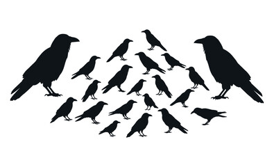 Large Collection of Black Birds in Various Perching Poses, Ominous Nature on White Background
