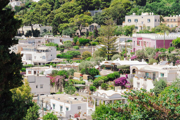 Capri Island, Italy landscape with vibrant architecture creating a stunning panorama of coastal beauty.