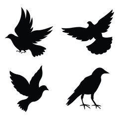 Flying bird silhouette. Contains such icons as Bird, wing, wild, animal, flying, wren and more. Collection of common blackbird silhouette design. Decoration element. 
