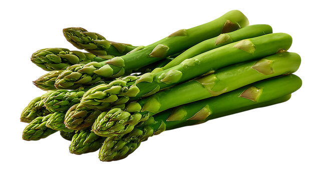 A vibrant bunch of fresh green asparagus spears with tightly closed tips isolated on transparent background
