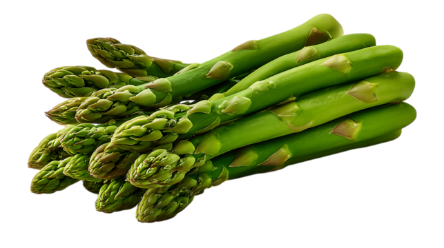 A vibrant bunch of fresh green asparagus spears with tightly closed tips isolated on transparent background