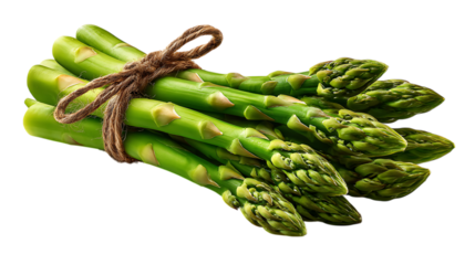 Fresh green asparagus spears tied with natural twine isolated on transparent background