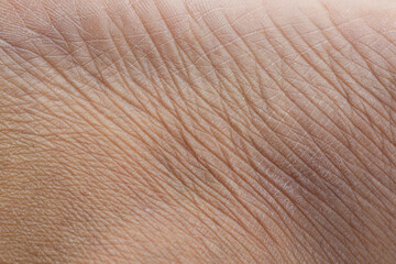 Human skin close up macro,Human skin close up. Structure of Skin,Close up skin texture with wrinkles on body human 