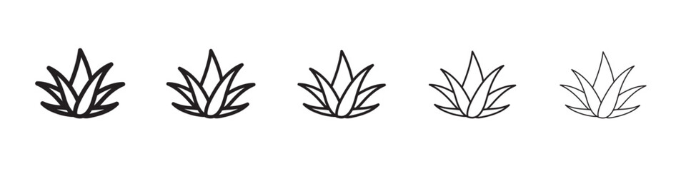 aloe vera icon vector illustration isolated