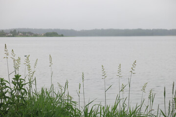 shore of Lake Valdai in summer