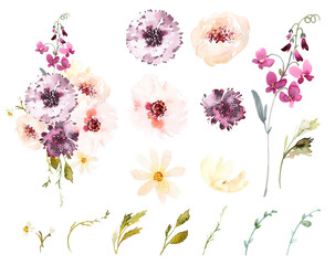 Watercolor Floral Set – Wildflowers and Leaves