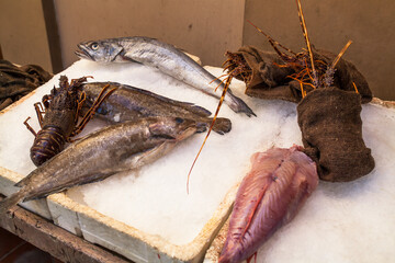 Fish market