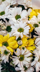 Bright white and yellow daisies bouquet close-up with various blooms