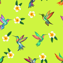 Seamless pattern of colorful hummingbird birds and plumeria flowers on a  green background