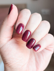 Elegant burgundy manicure with glossy finish on hand, well-groomed fingernails