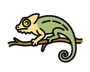 chameleon on a branch