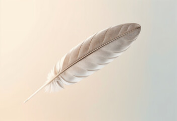 Soft white feather with subtle brown tones lying on a beige background, minimalist and airy.