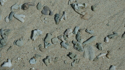 Pebbles on Sandy Beach Texture Background