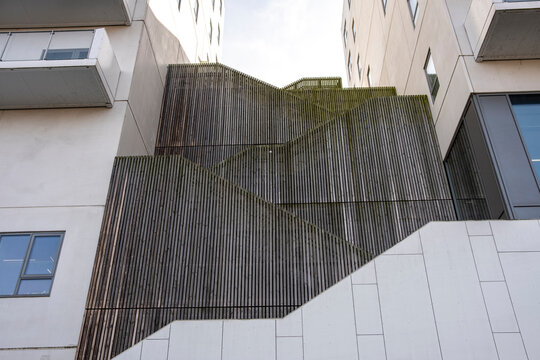Organic wooden deck integrated into modern white architecture, illustrating sustainable material use and spatial contrast in contemporary architectural detail