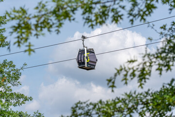A single gondola cabin drifts elegantly framed by tree branches against a soft cloudy sky. Serene passage above leafy green.