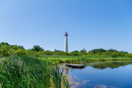 The tall Cape May lighthouse stands prominently against a clear blue sky, surrounded by lush greenery and a calm body of water. The serene landscape includes reeds and a small wooden platform.
