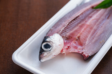 背開きのトビウオ