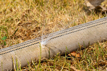 Hose Leak Close-Up - Water Leak. A water hose with a leak sprays jets of water onto the dry grass....