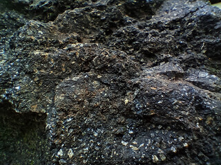 texture of dark volcanic rock with shiny mineral inclusions and rough surface, showing natural...