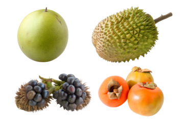 collection of exotic fruits including honeydew melon, gooseberry, jackfruit, rambutan, mulberry, persimmon, tamarind, and durian, isolated on white cutout transparent background, ideal design projects