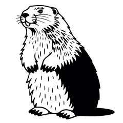Groundhog standing upright with whiskers and fur detail silhouette